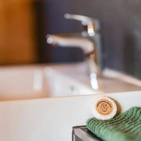 Discover The Harz National Park From A Tree House *