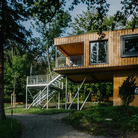 Discover The Harz National Park From A Tree House Ilsenburg