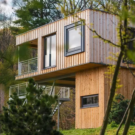 Discover The Harz National Park From A Tree House * Ilsenburg