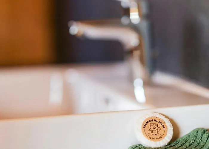 Discover The Harz National Park From A Tree House *