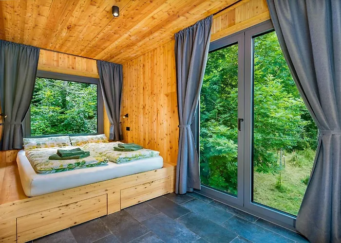 Discover The Harz National Park From A Tree House * 일젠부르크