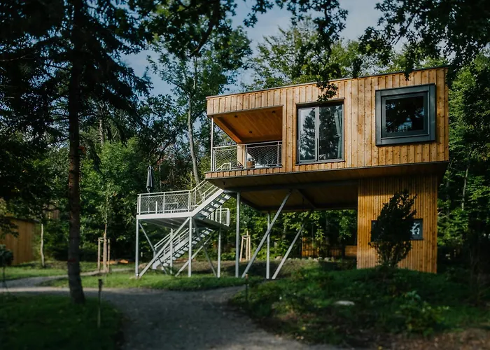 Discover The Harz National Park From A Tree House 일젠부르크