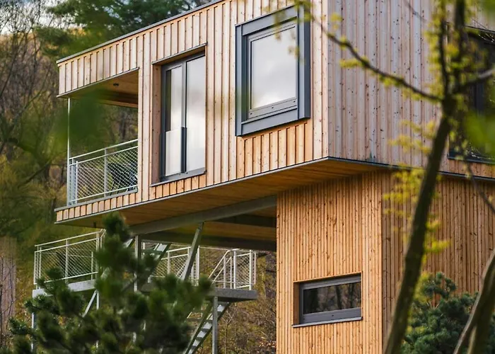 Discover The Harz National Park From A Tree House * 일젠부르크